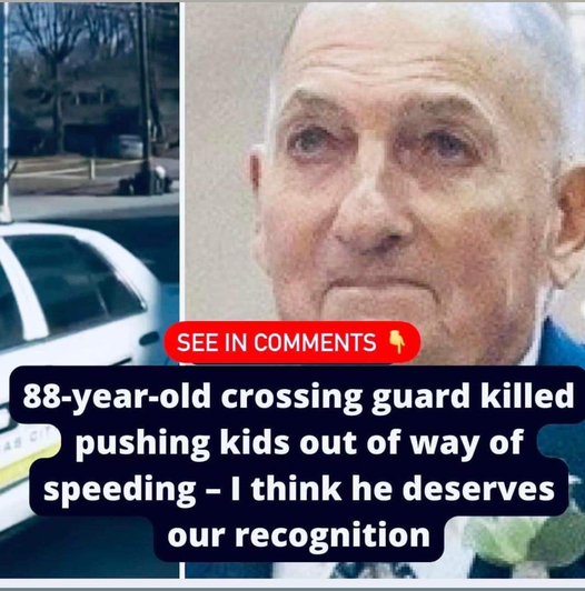 88-year-old crossing guard killed by speeding car after saving two students